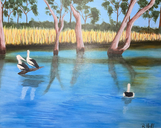 Pelicans on Gunbower Creek – Art Print